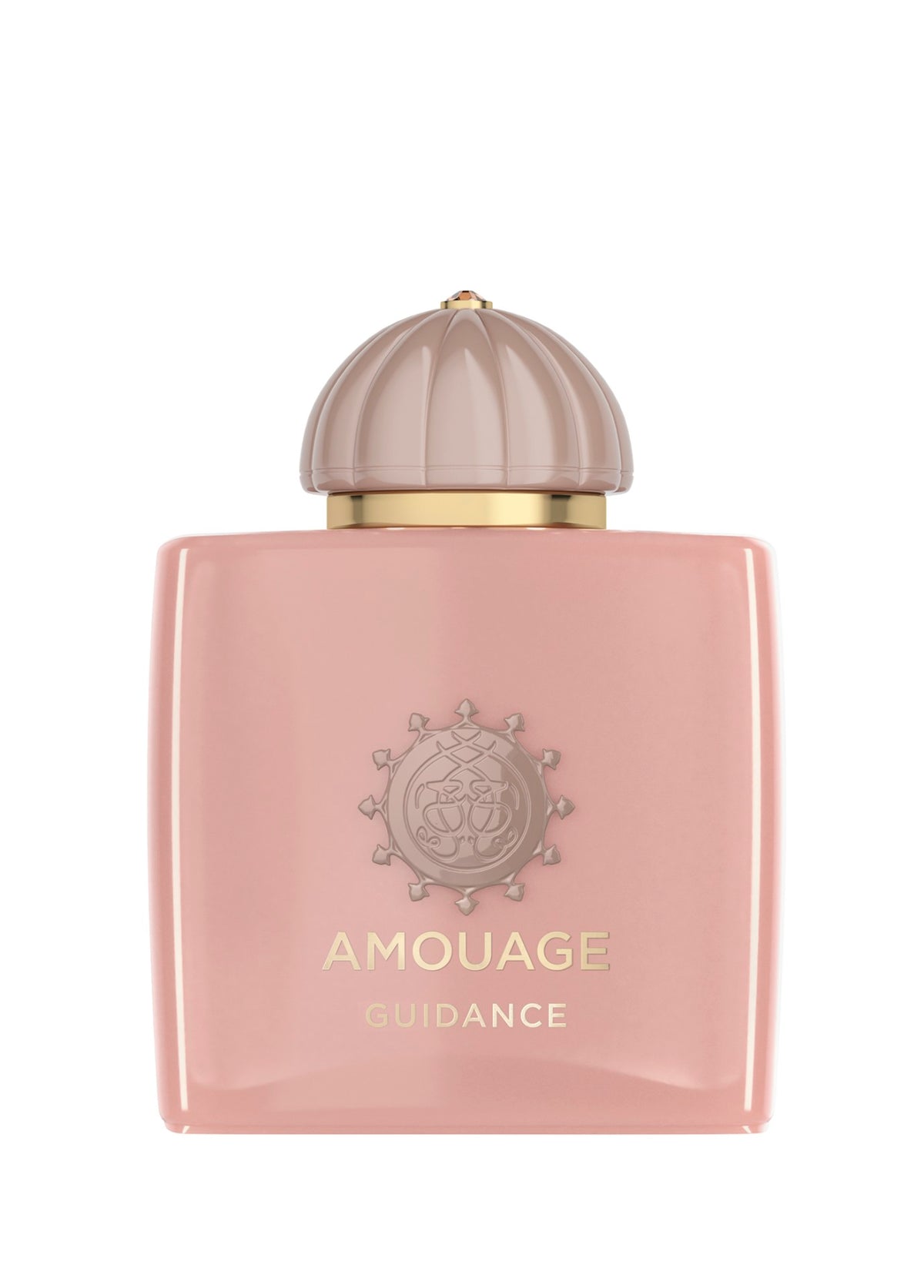 Amouage Guidance Edp 100 ml Parfüm