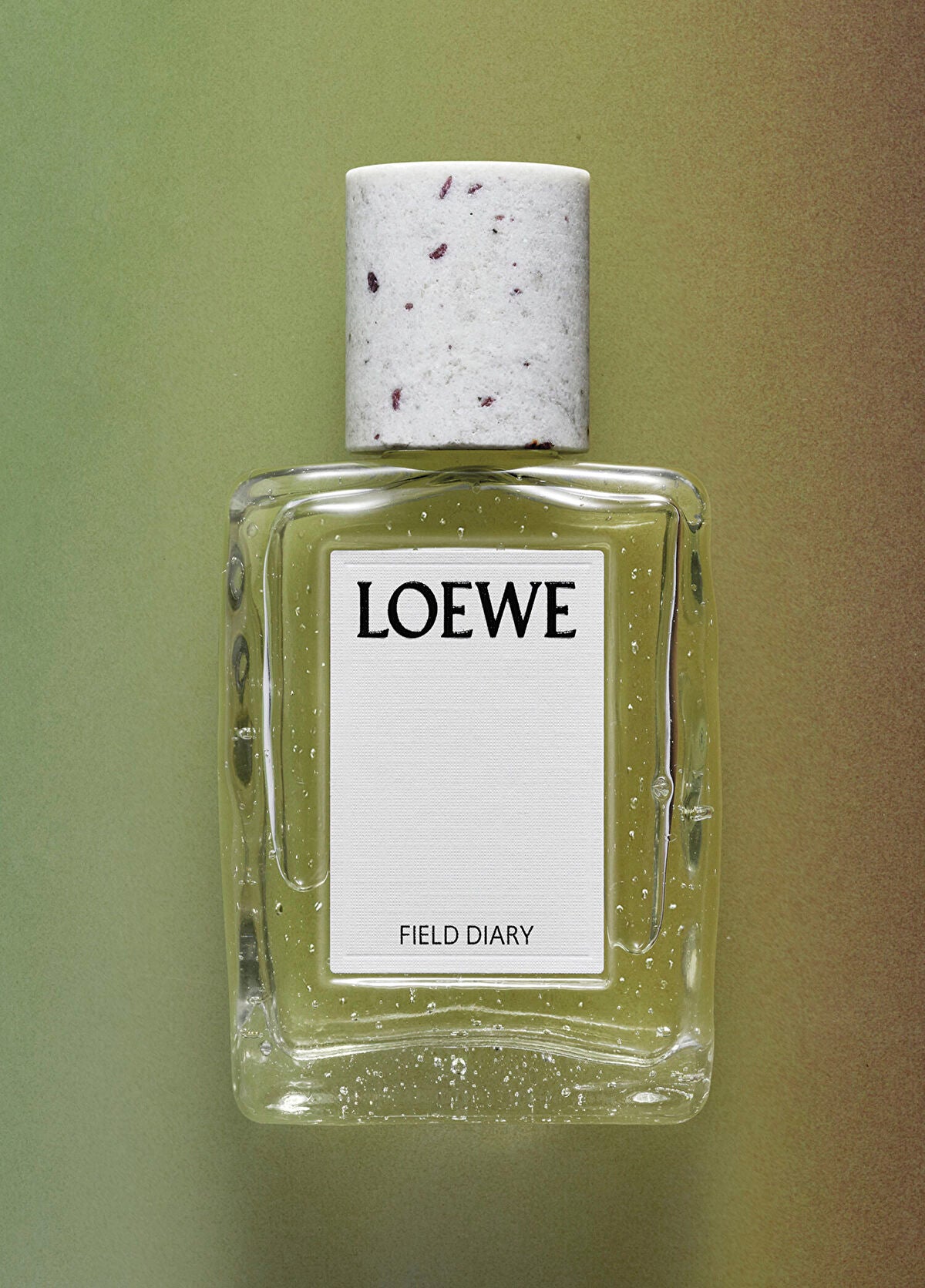 Loewe LOEWE Field Diary EDP 100ml Unisex Parfüm
