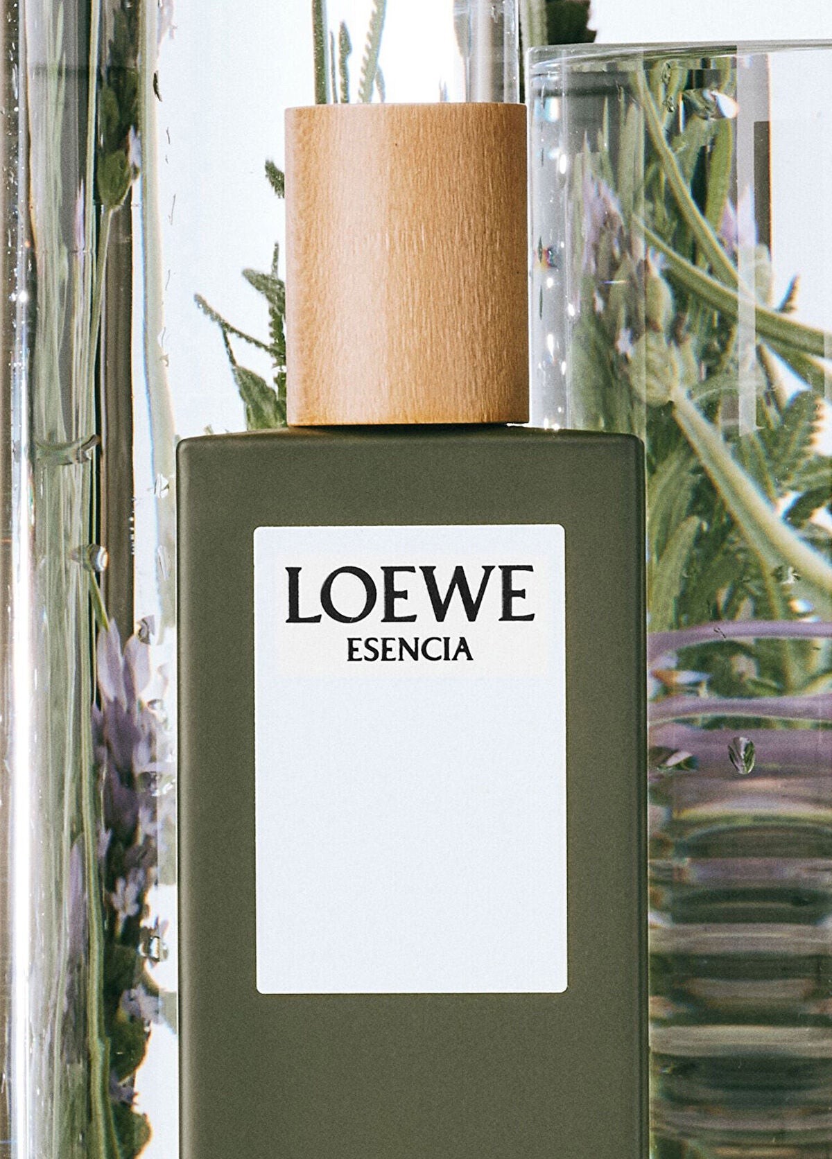 Loewe Essencia EDT 100 ml Erkek Parfüm