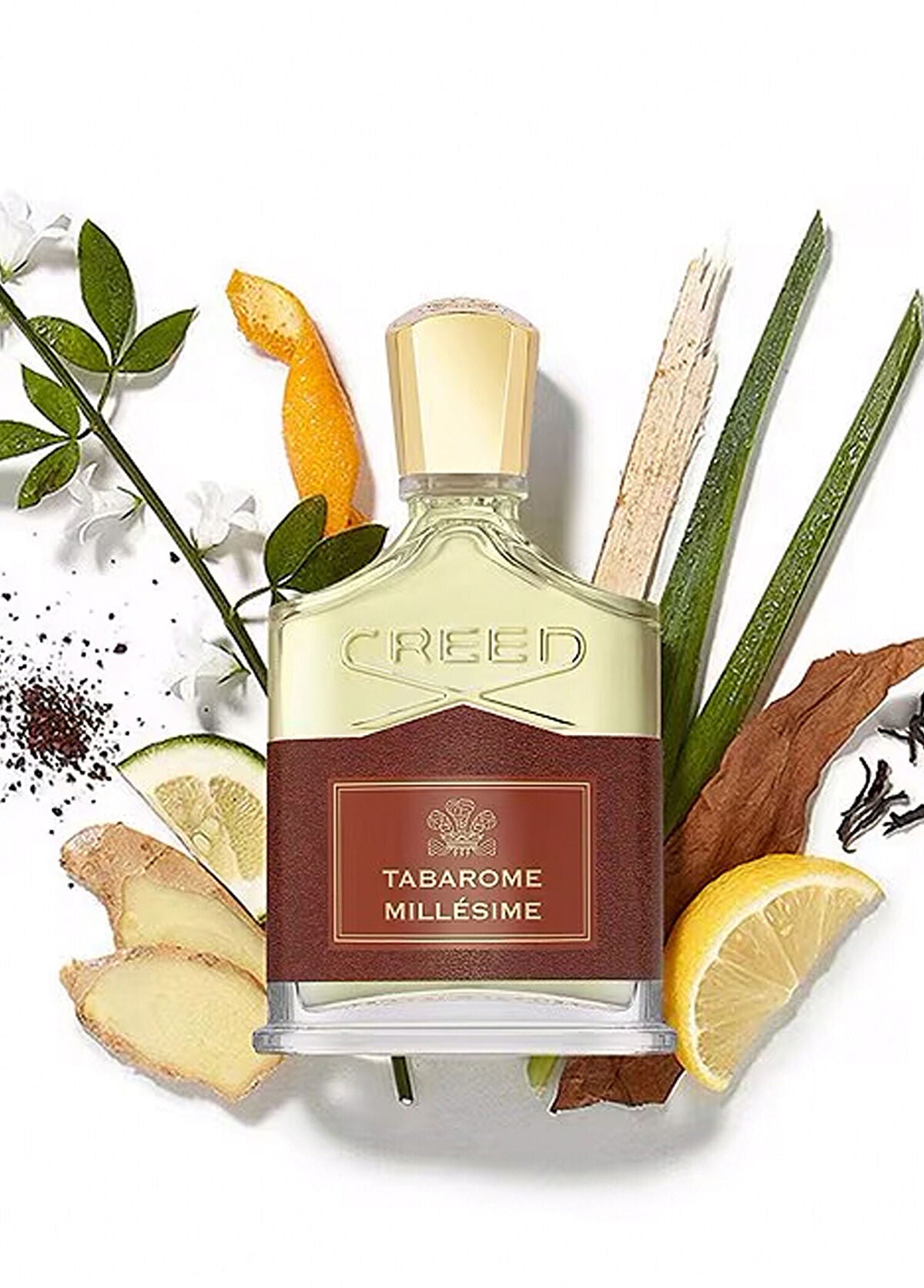 Creed Millesime Tabarome EDP 100 ml Erkek Parfüm
