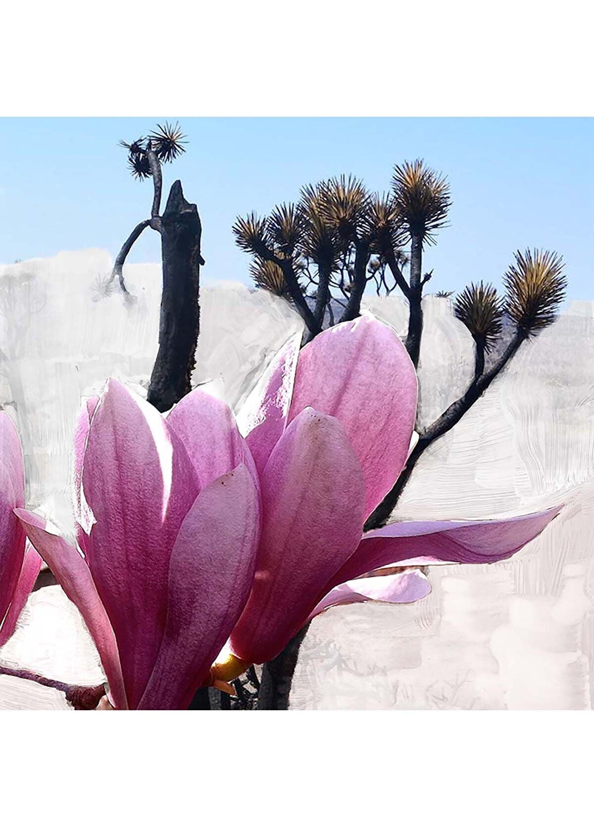 BYREDO Mojave Ghost Eau de Parfum 100 ml