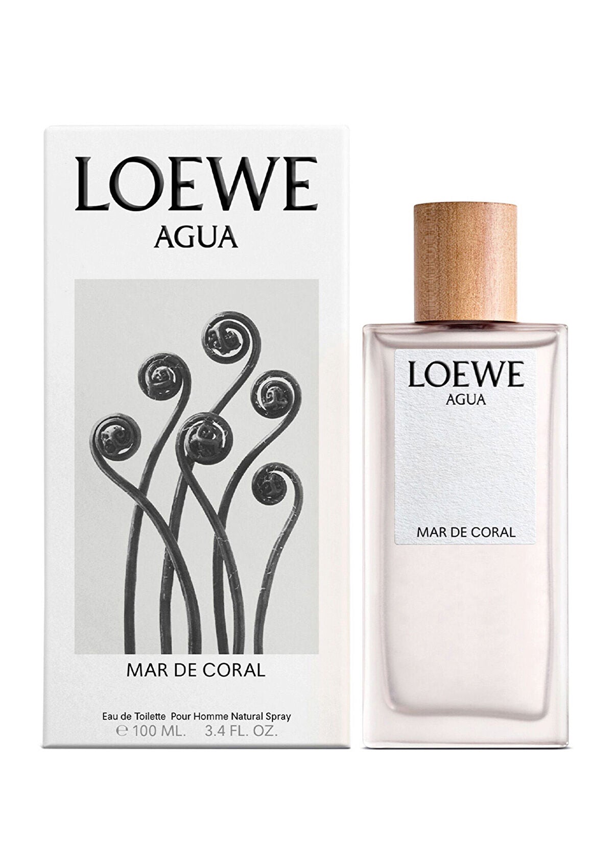 Loewe Agua Mar De Coral EDT 100 ml Kadın Parfüm