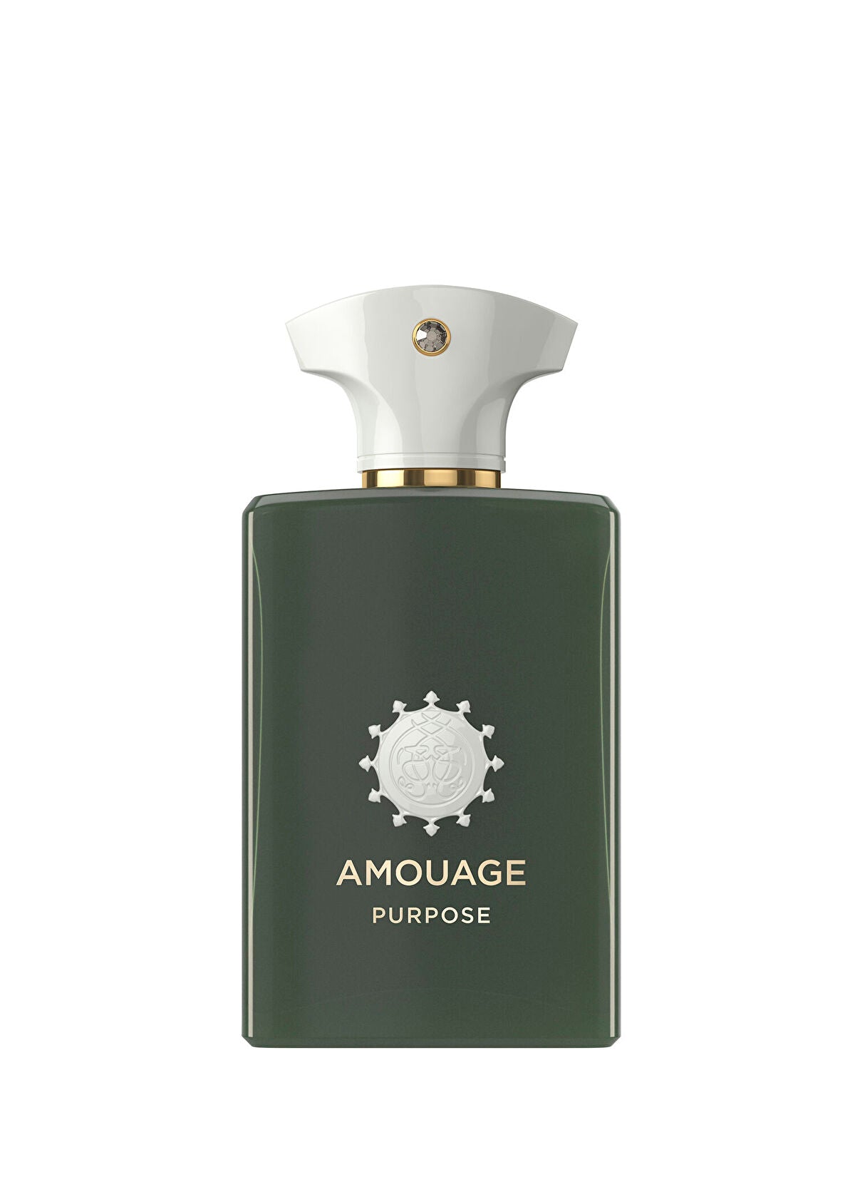 Amouage Purpose EDP 100 ml Kadın Parfüm
