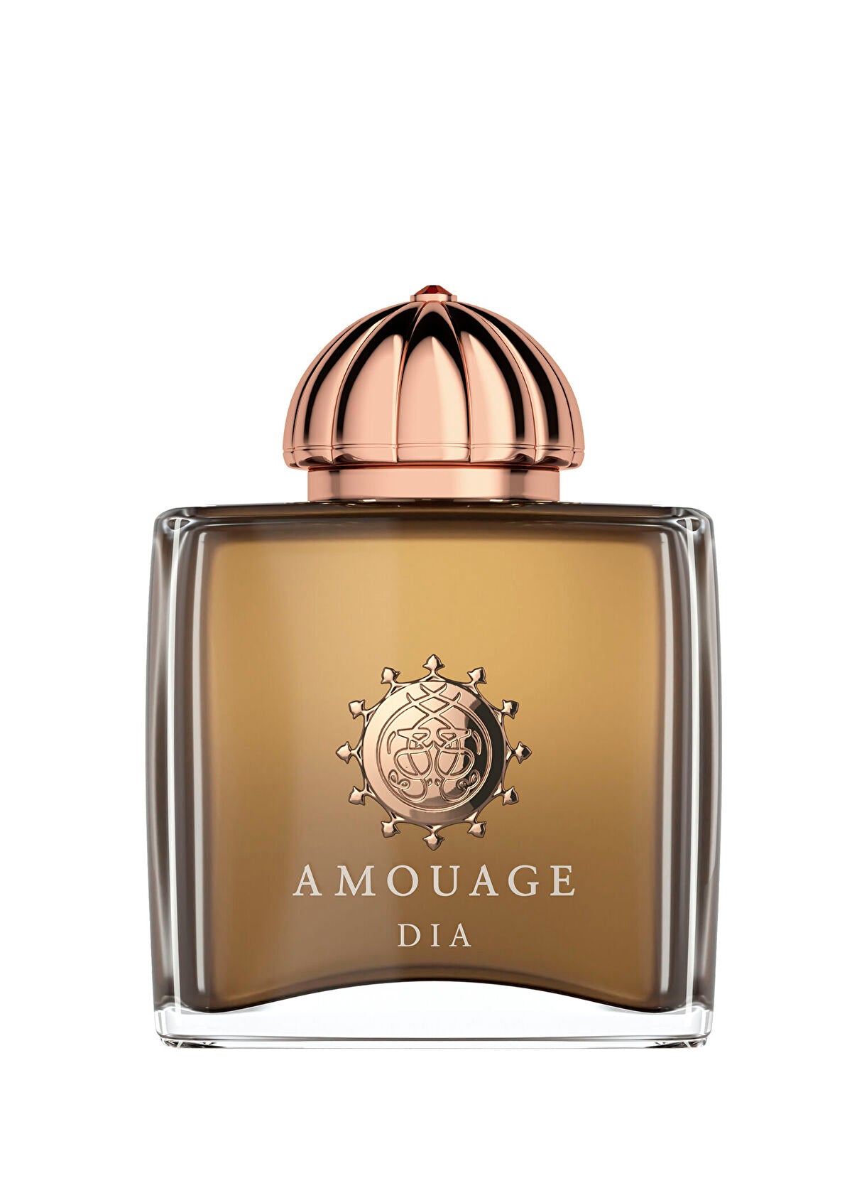 Amouage Dia Woman EDP 100 ml Kadın Parfüm