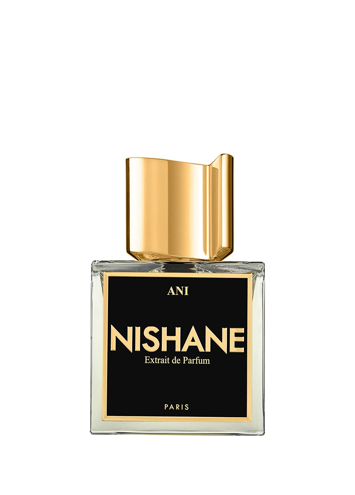Nishane Anı 100 ml Parfüm