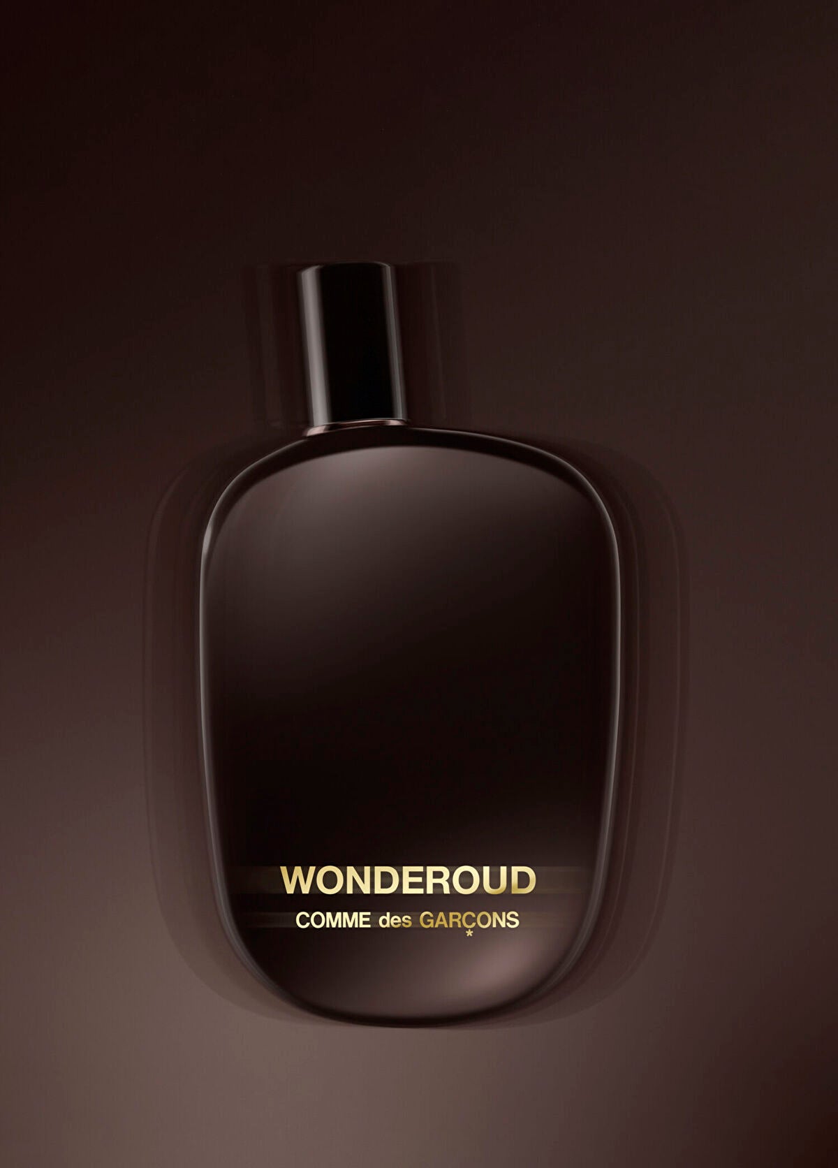 Comme des Garcons Wonderoud 100 ml EDP Parfüm