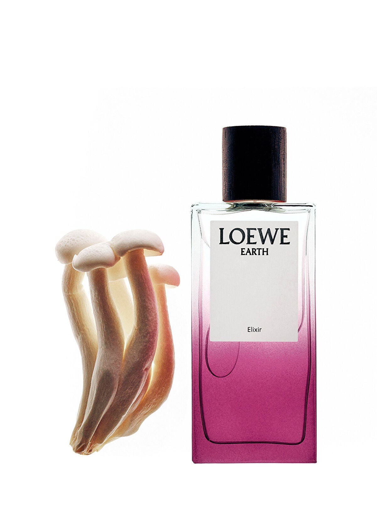 Loewe Loewe Earth Elıxır 100ml