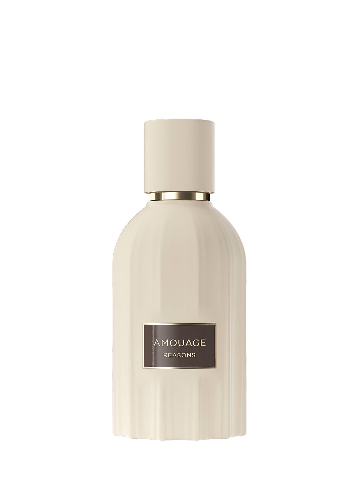 Amouage Reasons Essence De Parfum 100ml Spray